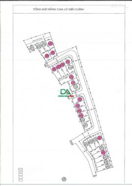 Siêu hiếm - bán đất đấu giá huyện Đông Anh giá chỉ 2xtr/m2