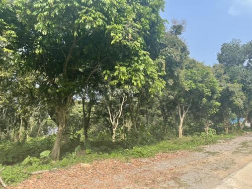 Cần bán siêu phẩm 2770m2 đất tại tiểu khu 14 Lương Sơn, tỉnh Hòa Bình, view cực đẹp rẻ nhất 2022