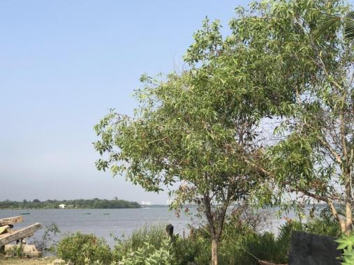 Bán đất nền mt sông Đồng Nai, Long Phước, q.9. Diện tích 5006.5m2.Giá 15 triệu/m2.Lh 0903652452
