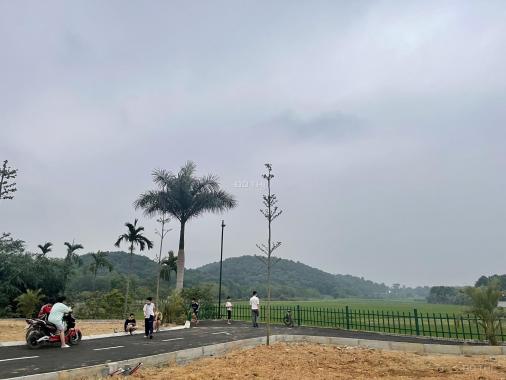 Bán đất mặt Đại Lộ Thăng Long, gần Xanh Vilas, ĐHQG chỉ từ 1,4 tỷ - 0868778766