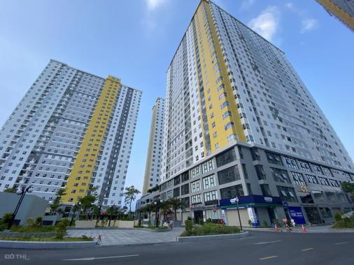 Cần bán gấp căn hộ 2PN 2,4 tỷ nội thất chung cư Diamond Riverside Quận 8