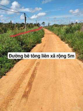 Bán đất tại Xã Quảng Tâm, Tuy Đức, Đắk Nông diện tích 30000m2