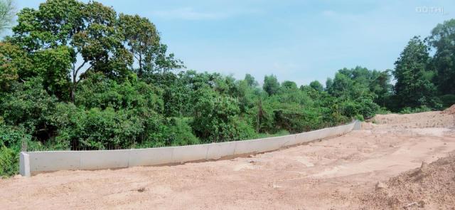 Bán đất tại phố Phan Đăng Lưu, Phường Long Bình, Biên Hòa, Đồng Nai diện tích 100m2 giá 300 triệu