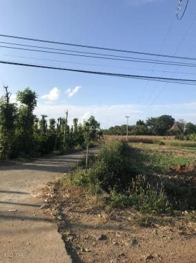 Bán lô đất cực đẹp giá rẻ nhất khu vực Xã Đăk Wil, Cư Jút, Đắk Nông
