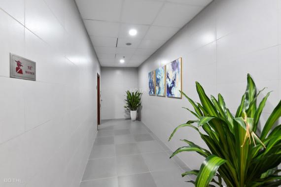 Cho thuê gấp văn phòng hạng B tại Hoàng Quốc Việt - Nguyễn Văn Huyên, 30m2 - 55m2, view đẹp