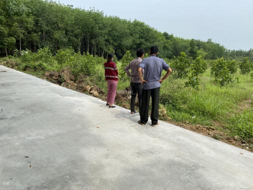 Bán đất Định Quán DT 763 Xã Suối Nho Giảm ngay 500 triệu