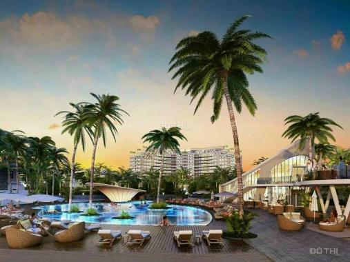 Miami Homes Vũng Tàu - Căn hộ Đồi Dừa Hưng Thịnh chính thức nhận booking