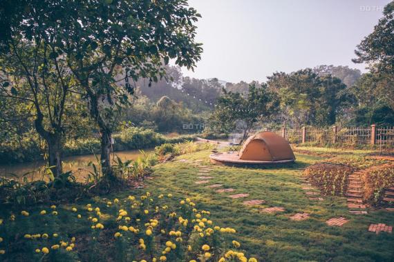 Chuyển nhượng một căn nhà nhỏ ở một vùng quê yên bình cách Hà Nội 40km