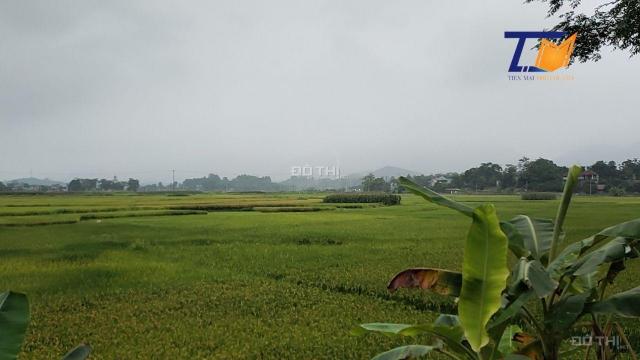 Lô đất đang được chào bán với giá siêu rẻ 430m2 Thanh Thủy Phú Thọ LH: A Tiến 0586.22.9999