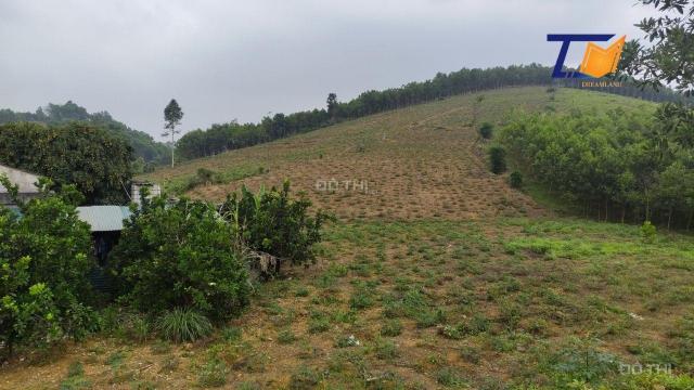 Đẹp miễn chê lô đất 13050m2 Thanh Sơn Phú Thọ giá chưa đến 2 tỷ view cực đẹp LH: A Tiến