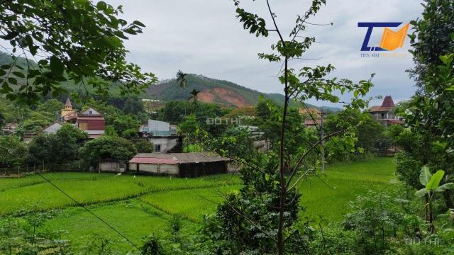Quá rẻ lô đất 1442m2 vị trí đắc địa nhanh tay mua ngay kẻo lỡ nằm tại Thanh Sơn Phú Thọ