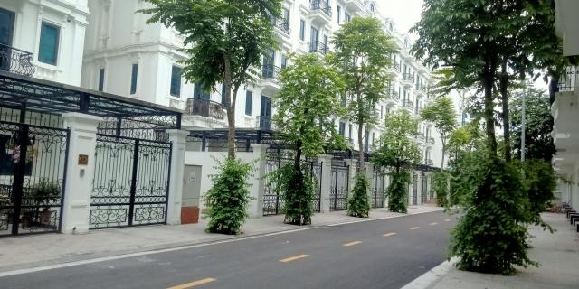 Bán nhà mặt phố tại đường Phúc La, Phường Kiến Hưng, Hà Đông, Hà Nội diện tích 200m2