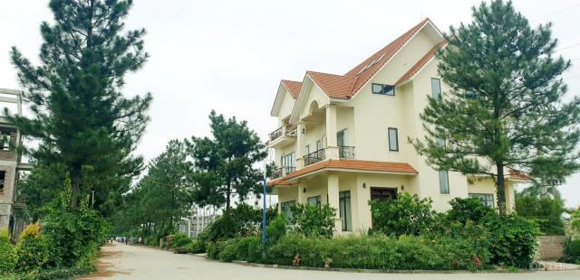 Bán nhà biệt thự, liền kề tại đường Tây Thăng Long, Xã Tân Hội, Đan Phượng, Hà Nội diện tích 400m2