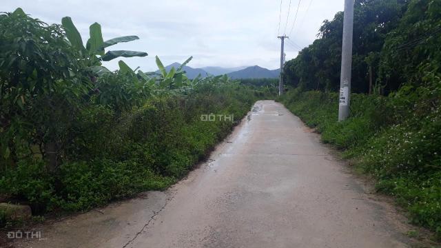 Bán gấp đất trồng cây tại thôn Tân Xương 2, xã Suối Cát, huyện Cam Lâm, tỉnh Khánh Hòa