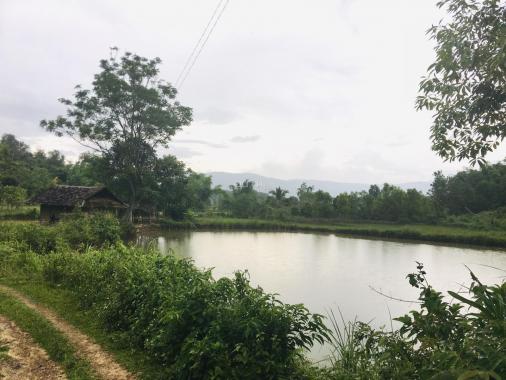 Bán đất tại Xã Thanh Luông, Điện Biên, Điện Biên diện tích 7000m2