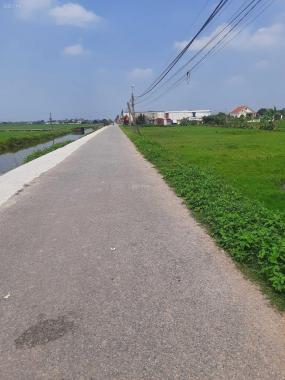 Bán lỗ mảnh đất 93m2 full thổ cư, huyện Giao Thủy, tỉnh Nam Định. Chỉ 750 triệu