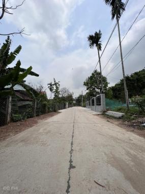 Bán lô đất nhà vườn tại xã Điện Tiến, Điện Bàn, giá đầu tư