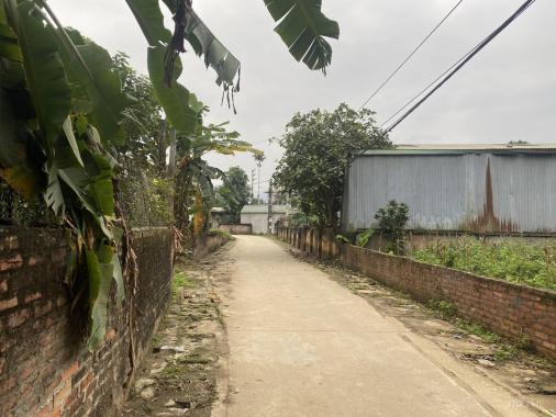 Bán đất chủ gửi trục chính thôn Đồng Vàng Phú Mãn giá nhỉnh 1 tỷ