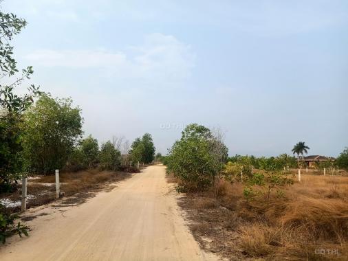 Bán đất khu rừng vàng đường Hùng Vương, Xã Tân Bình, La Gi, Bình Thuận