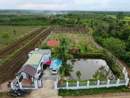 Đất vườn đầu tư tại Đồng Nai giá 800tr/1000m2