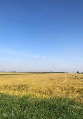 Chính chủ cần bán 28.5 công đất ruộng giá rẻ xã Tà Đảnh - Tri Tôn - An Giang