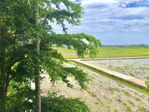 Bán nhà biệt thự, liền kề tại Xã Cẩm Thanh, Hội An, Quảng Nam diện tích 209m2 giá 9 tỷ