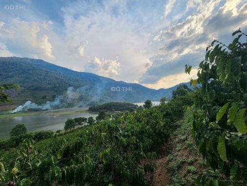 Chỉ với 1.7 tỷ sở hữu hơn 6 sào view hồ