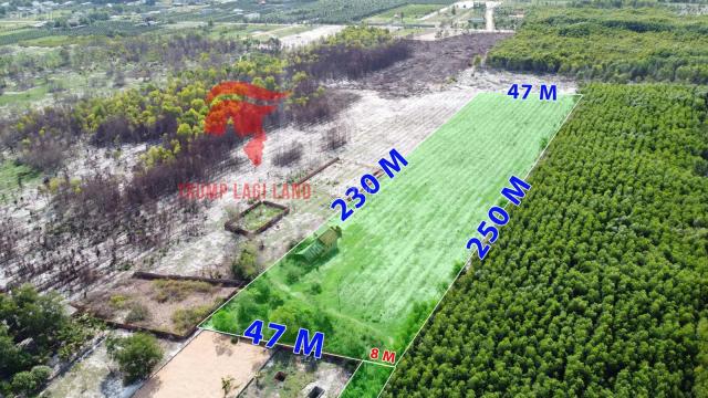 Đất biển 19.525m2 đường Hùng Vương, xã Tân Bình, LaGi, Bình Thuận. Giá 768k/m2