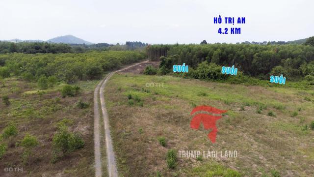 Bán gấp 2000m2 (100m2 thổ cư) xã Thanh Sơn, Định Quán, Đồng Nai. Sổ hồng riêng, giá rẻ