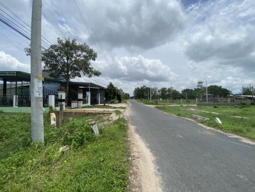 Bán Đất Biển 13,8x75m (1031m2, 100m thổ cư) đường Nguyễn Thông, xã Tân Bình, TX LaGi. Giá NGỢP