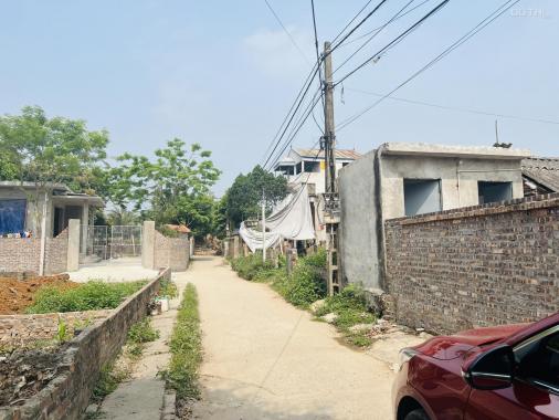 Bán đất tại đường Đồng Lai, Xã Hiền Ninh, Sóc Sơn, Hà Nội diện tích 133m2 giá 12.5 triệu/m2