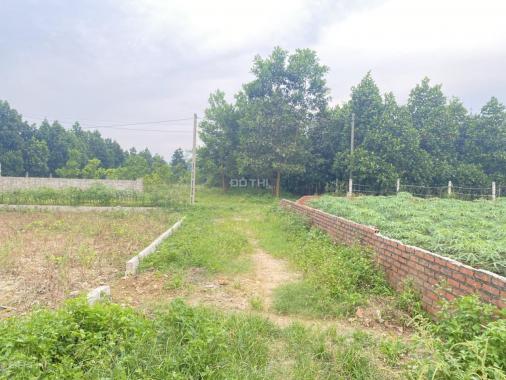 Bán lô đất đẹp mặt tiền 8m, diện tích 100m2 full thổ cư giá hơn 2tỷ xíu tại Tân Xã
