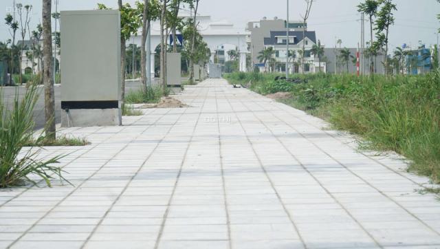 Cơ hội đầu tư đất nền đón đầu quy hoạch khu kinh tế biển Tiền Hải, Thái Bình