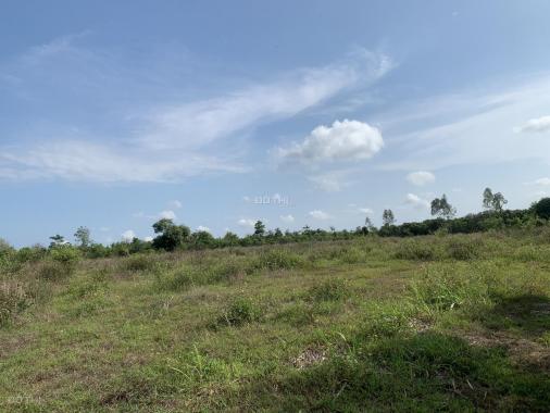 Chính chủ cần bán gấp 2 mảnh đất liền kề tại Bảo Quang, Long Khánh