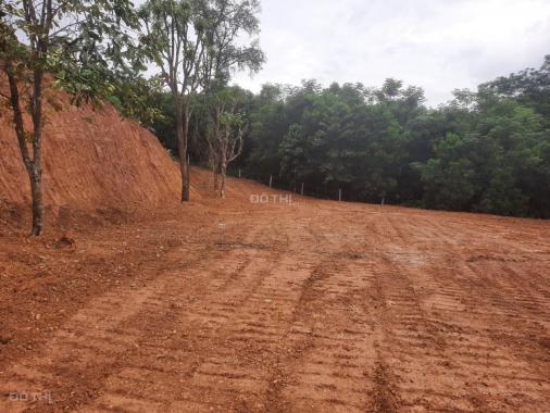 Bán lô đất 4658m2 giá siêu rẻ tại TP Hòa Bình, Hòa Bình( 1,8ty)