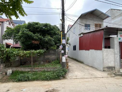 Trục chính làng 100m2 thôn Yên Ninh - Hiền Ninh - Sóc Sơn, giá đầu tư