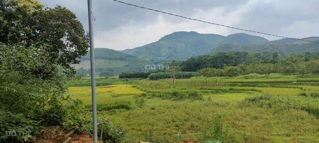 15000m2 giá chỉ 1,6 tỷ đất tại Kim Bôi, Hòa Bình