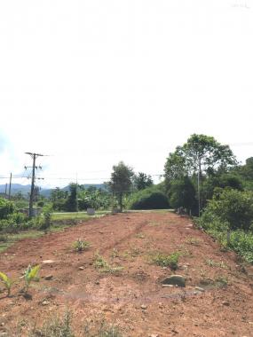 Bán đất tại đường Quốc lộ 27, Xã Krông Nô, Lăk, Đắk Lắk diện tích 950m2