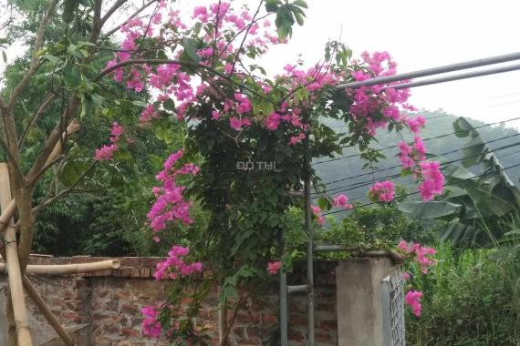 Bán lô đất DT 792.3m2 tặng khu vườn sẵn hoa tươi quả ngọt cùng ngôi nhà nhỏ nhỏ tại Yên Bình