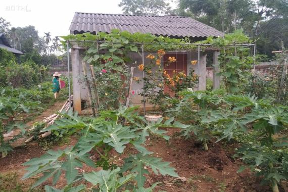 Bán lô đất DT 792.3m2 tặng khu vườn sẵn hoa tươi quả ngọt cùng ngôi nhà nhỏ nhỏ tại Yên Bình