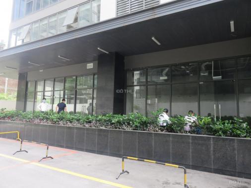 Cho thuê sàn vp thương mại DT đa dạng từ 130m2 giá rẻ ko ngờ tại tòa Dreamland Bonanza Duy Tân