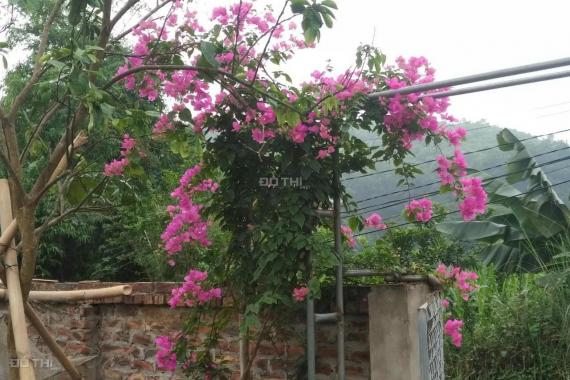 Bán lô đất tặng nhà kèm vườn sẵn hoa tươi quả ngọt tại Yên Bình, giá 5. x tỷ