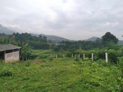 Nghỉ dưỡng tại Minh Quang, diện tích 750m2, thổ cư 300m, mặt rộng 15m, cạnh đường ĐT 87A, giá ĐT