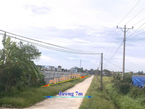 Sang nhượng khu đất sản xuất kinh doanh trung tâm phường Long Anh, TP Thanh Hoá