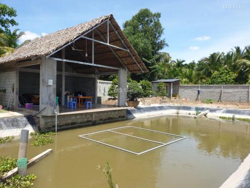 Kẹt tiền ngân hàng bán mảnh đất và nhà vườn sinh thái tâm huyết tại ấp Phước Thạnh, Xã Tam Phước