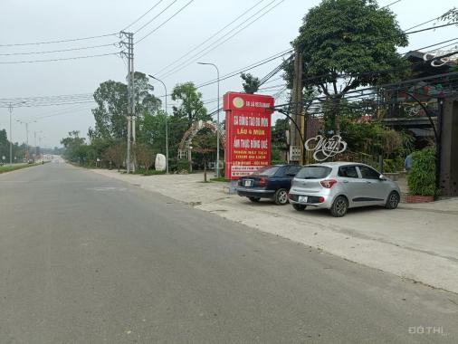 Bán đất đầu tư tiềm năng siêu lợi nhuận tại Xã Ngọc Thanh, Thành Phố Phúc Yên