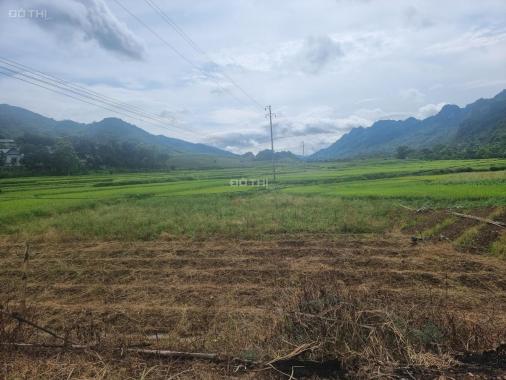 Bán đất thổ cư gần khu du lịch Thác Cửu Tú Sơn, Kim Bôi, Hòa Bình