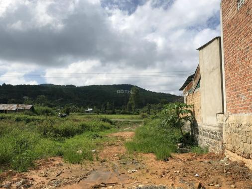Bán đất 10x50m, nở hậu, thuộc thị trấn Liên Nghĩa, Đức Trọng, Lâm Đồng