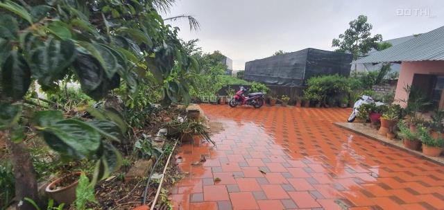 Chính chủ bán đất nông nghiệp khu dân cư phường 8 Đà Lạt