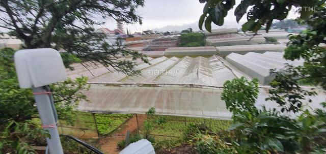 Chính chủ bán đất nông nghiệp khu dân cư phường 8 Đà Lạt